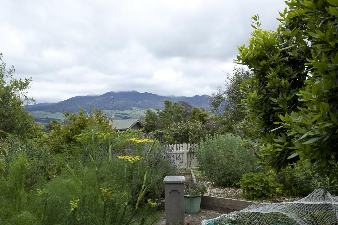 Pirongia ハイゲート ベッド アンド ブレックファースト&ガーデン Bed & Breakfast エクステリア 写真